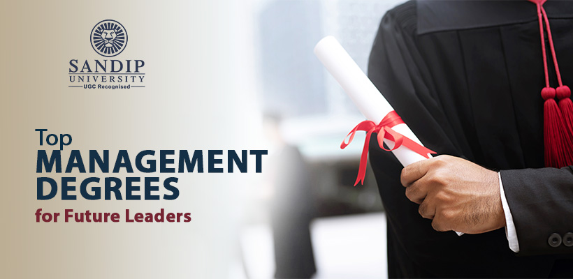Top Bachelor Degrees for Future Leaders: Best Management Programs