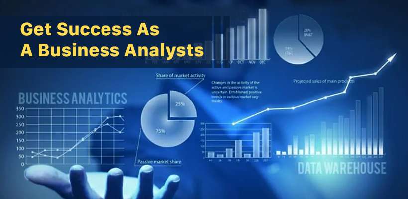 Business Analysts