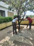 Cleanliness Drive