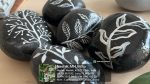 Nature's Canvas: School of Design's Painted Rocks Workshop