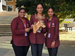 Value-Added Program on: Interlock to create: Unlock creativity with cardboard