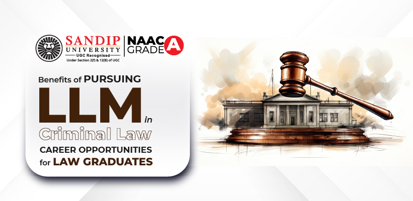 Career Opportunities for Law Graduates