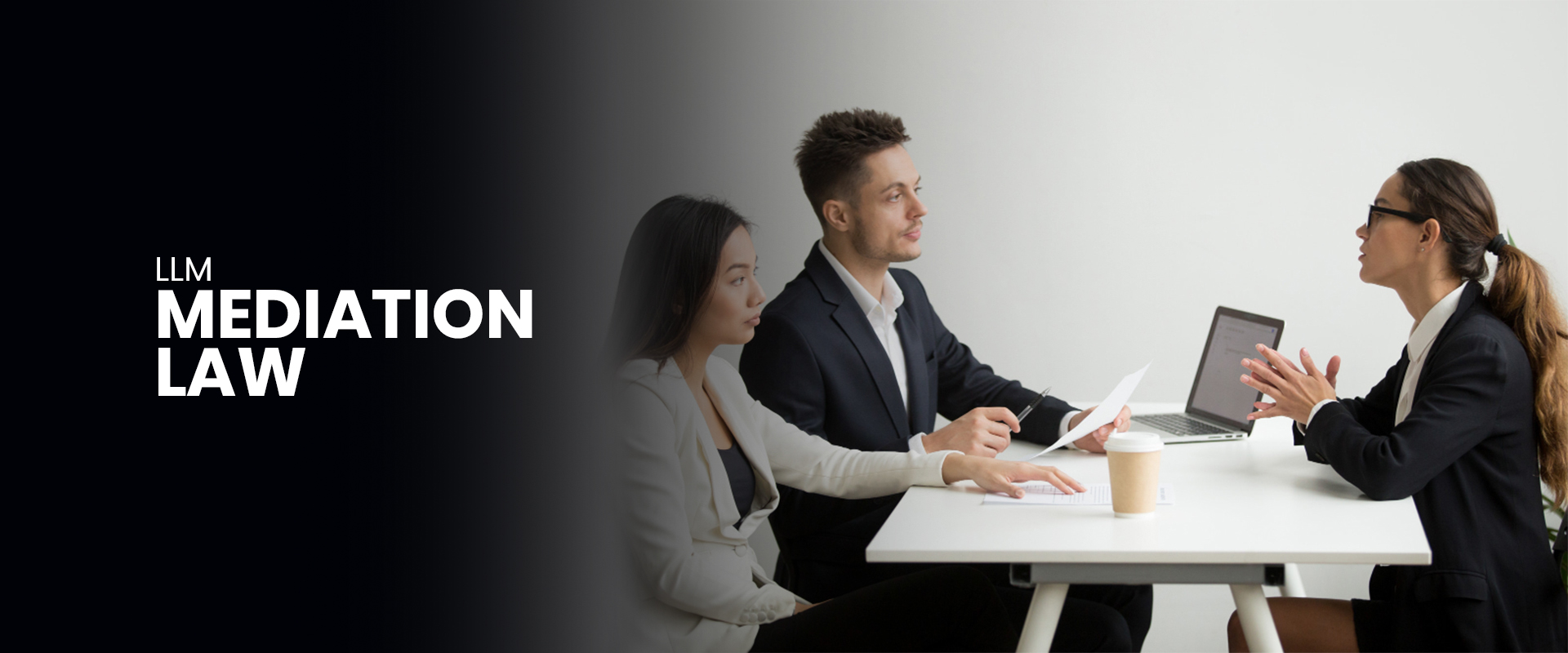 LLM Mediation Law