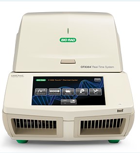 Thermocyclers